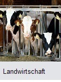 landwirtschaft2